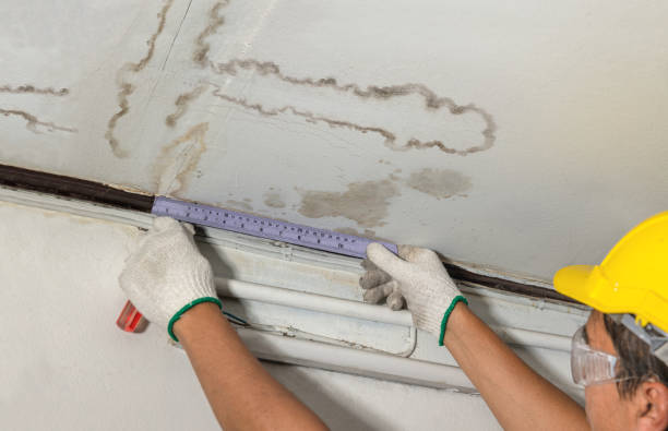 Reliable Water Damage contractor in Canova, SD by Water Damage Irwin